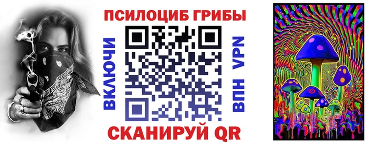 Купить  Тында  Псилоцибиновые грибы GOLDEN TEACHER 